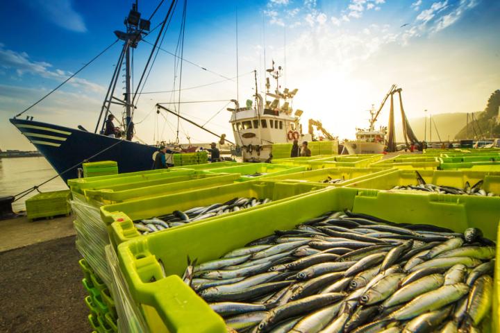 An industrial fishing boat